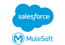 sales-force-img